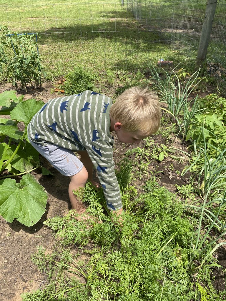 Kids in the Garden