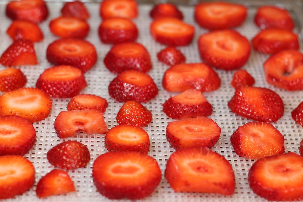 Strawberries on a dehydrating tray