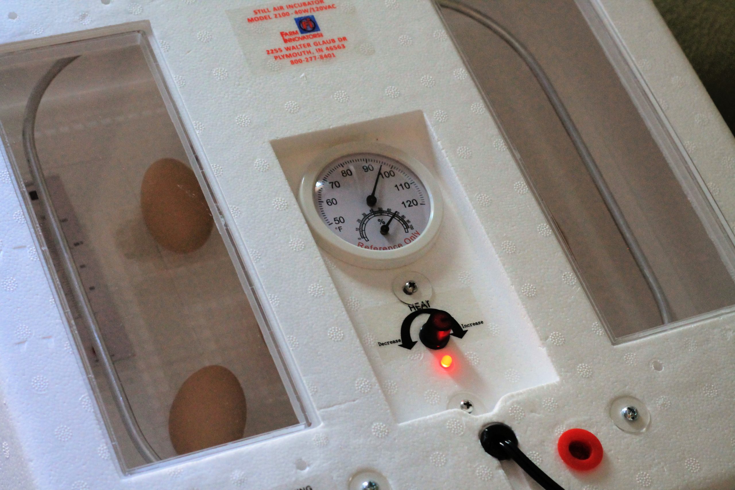 How to Incubate Eggs Nelson Road Garden