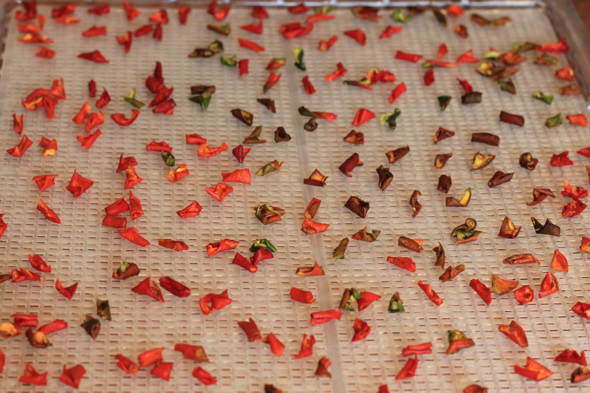 How To Dehydrate Bell Peppers - Nelson Road Garden