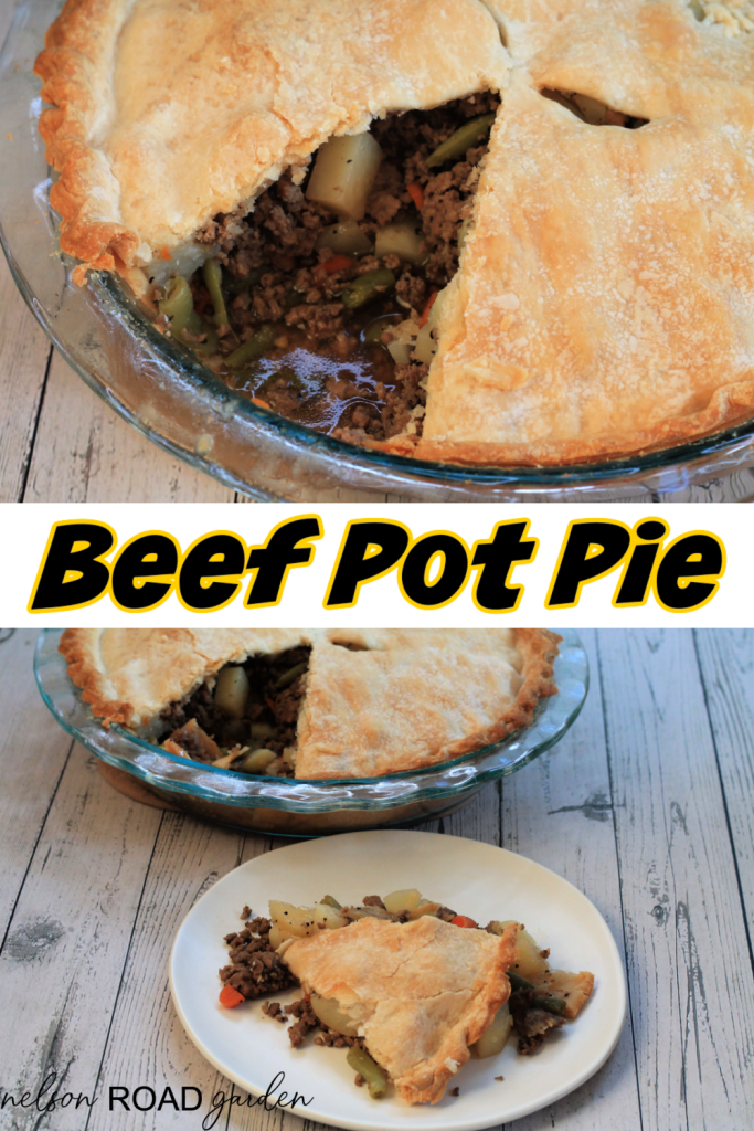 Beef Pot Pie - Nelson Road Garden