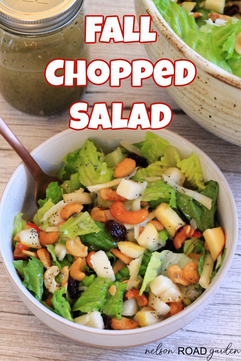Fall Chopped Salad Nelson Road Garden