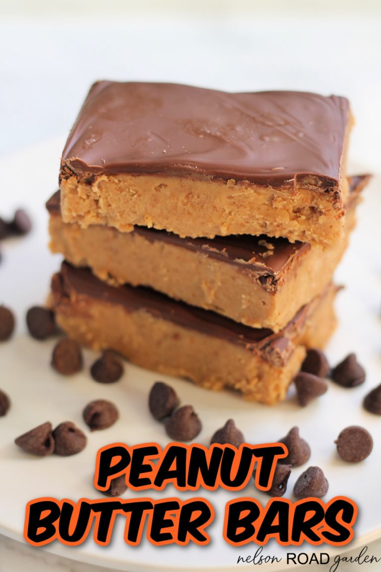 Peanut Butter Bars - Nelson Road Garden