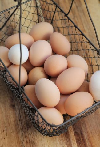 basket of chicken eggs