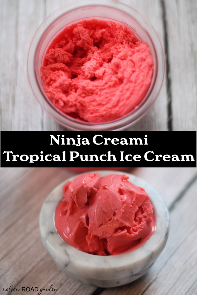 Ninja Creami Tropical Punch Ice Cream - Nelson Road Garden