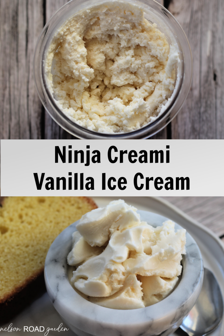 https://nelsonroadgarden.com/wp-content/uploads/2023/02/ninja-creami-vanilla-ice-cream-pin-735x1103.png