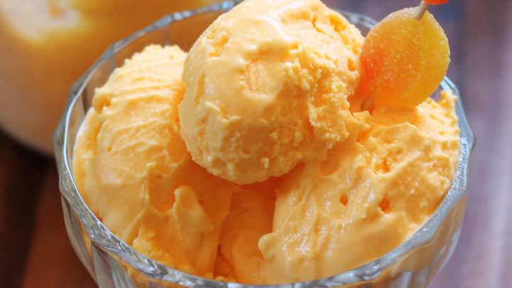 Ninja Creami Orange Sherbet - I Dream of Ice Cream