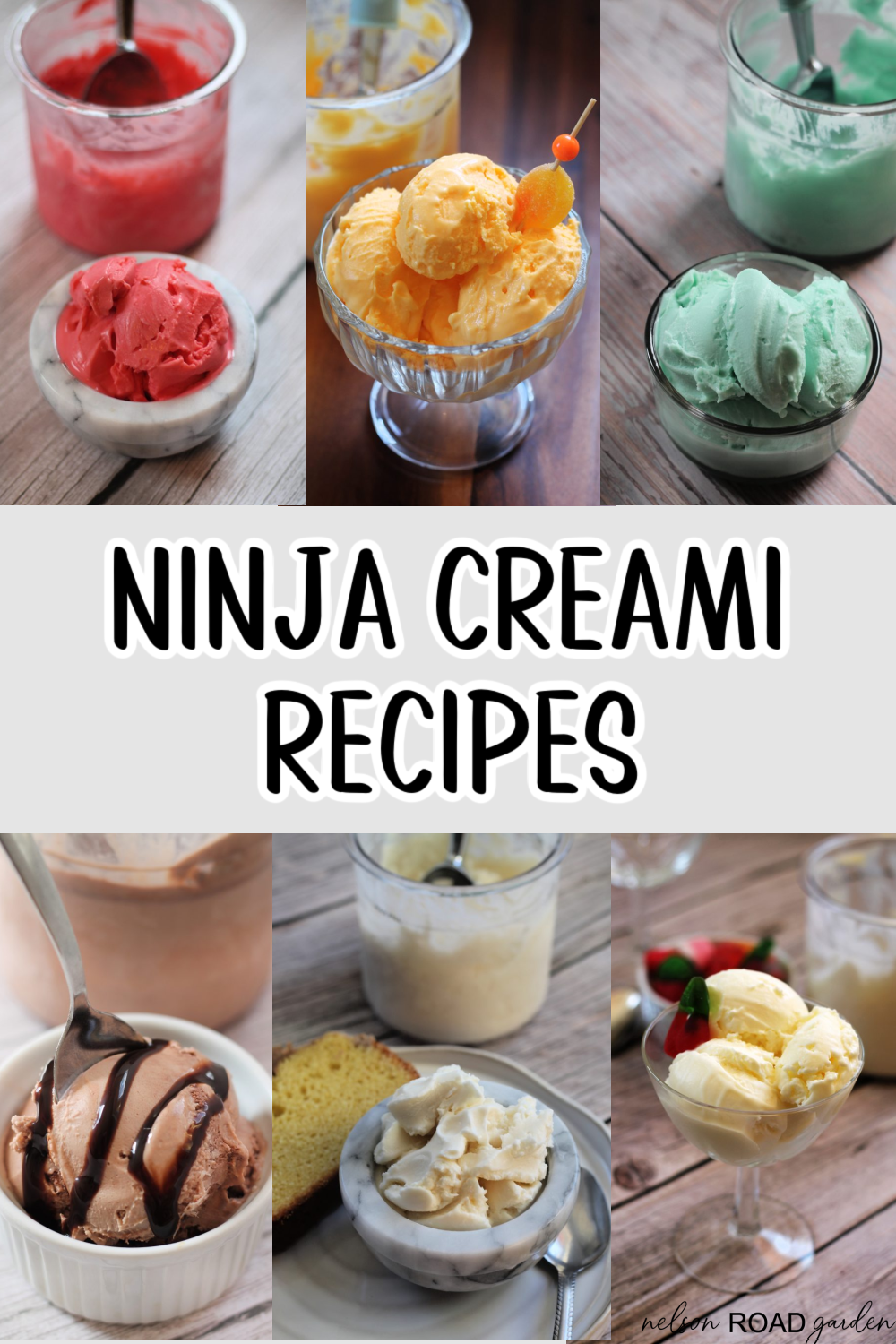 https://nelsonroadgarden.com/wp-content/uploads/2023/05/ninja-creami-recipes-pin.png