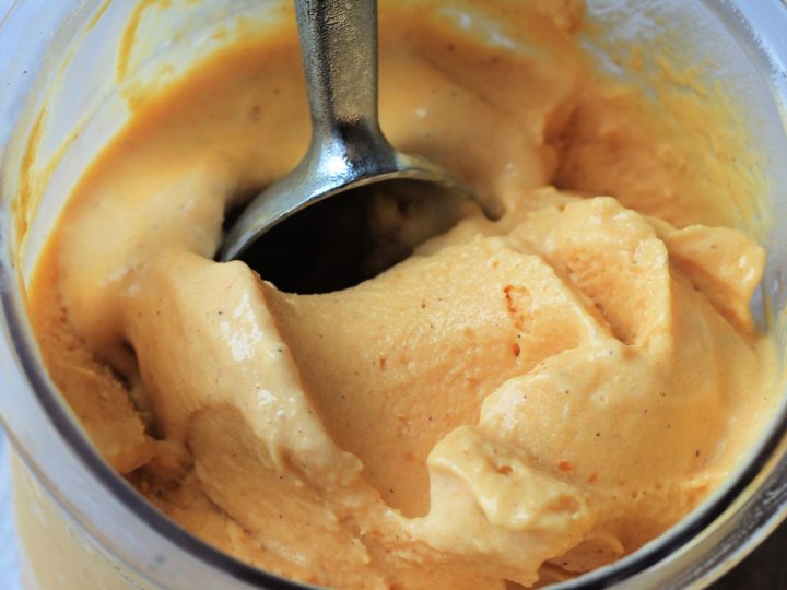 Dairy Free Ninja Creami Pumpkin Ice Cream