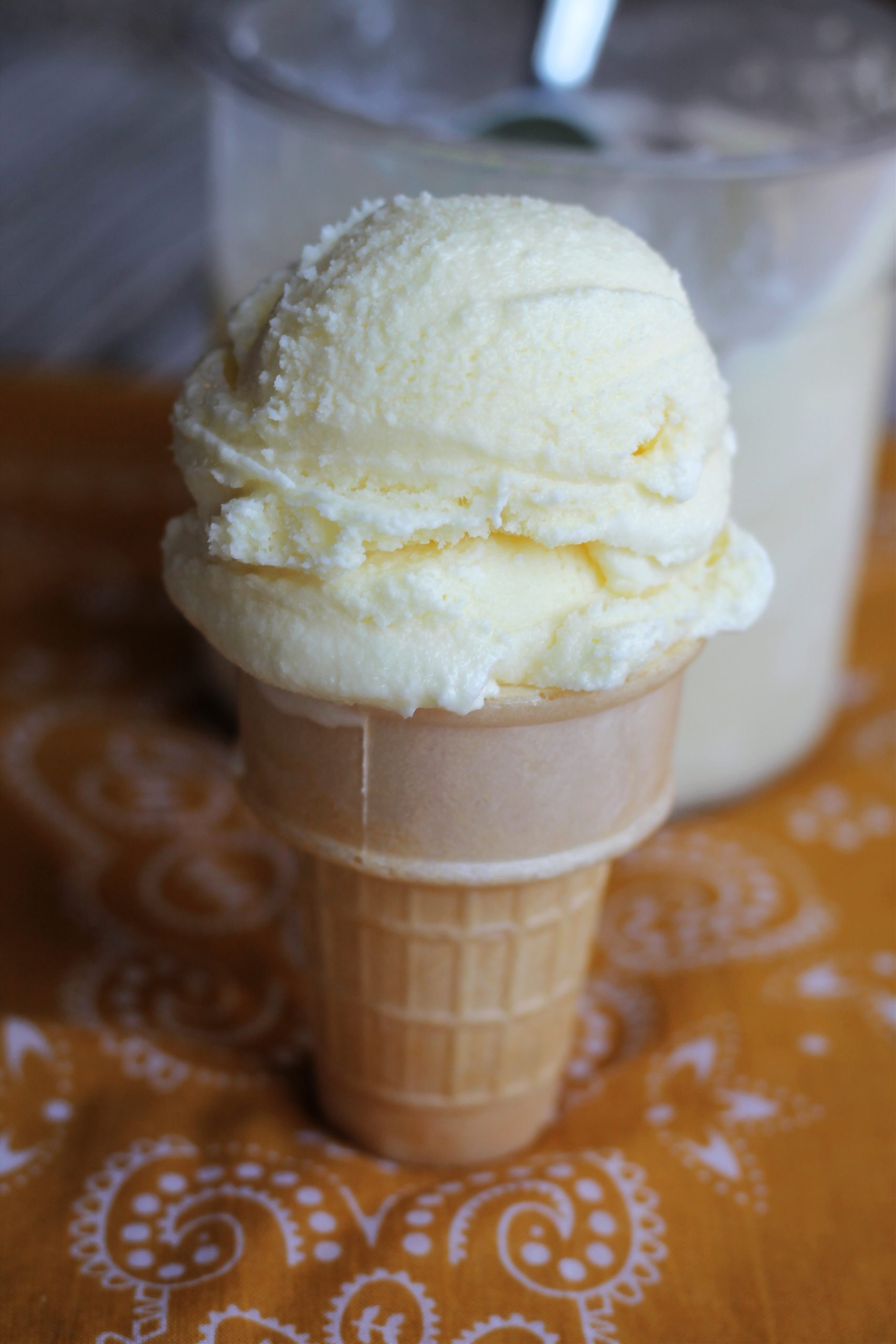 Ninja Creami Cake Batter Ice Cream Nelson Road Garden